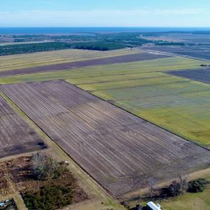 Photo #5 of Highway 264, Engelhard, NC