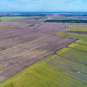 Photo #9 of Highway 264, Engelhard, NC