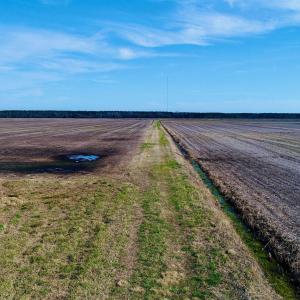 Photo #31 of Highway 264, Engelhard, NC