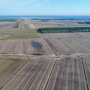 Photo #12 of Highway 264, Engelhard, NC