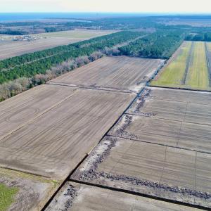 Photo #24 of Highway 264, Engelhard, NC