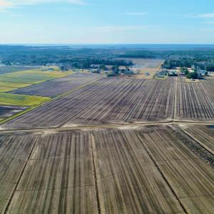 Photo #21 of Highway 264, Engelhard, NC