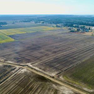 Photo #26 of Highway 264, Engelhard, NC