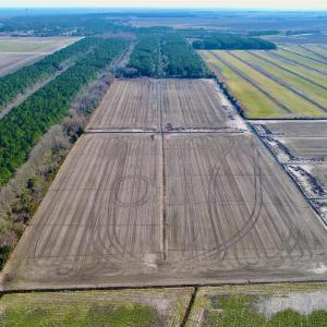 Photo #15 of Highway 264, Engelhard, NC