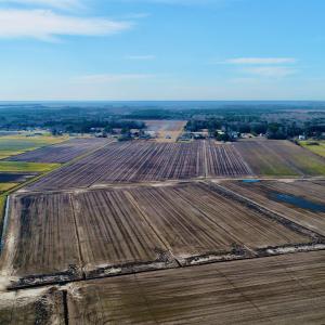 Photo #19 of Highway 264, Engelhard, NC