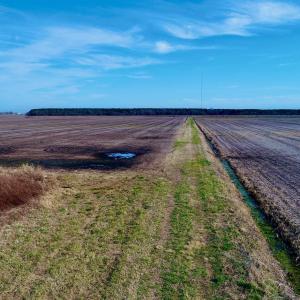 Photo #28 of Highway 264, Engelhard, NC