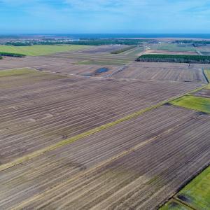 Photo #10 of Highway 264, Engelhard, NC