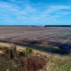 Photo #29 of Highway 264, Engelhard, NC