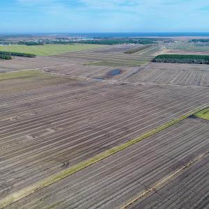 Photo #11 of Highway 264, Engelhard, NC