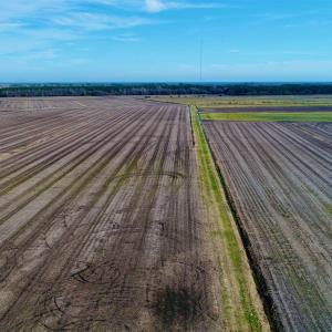 Photo #30 of Highway 264, Engelhard, NC