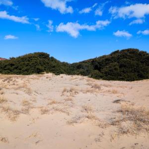 Photo #6 of 1623 Ocean Pearl Road, Corolla, NC 0.3 acres