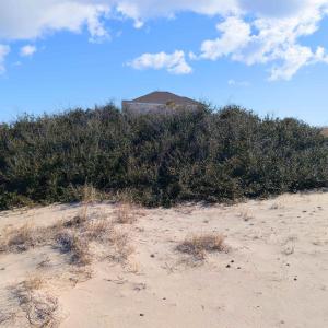 Photo #7 of 1623 Ocean Pearl Road, Corolla, NC 0.3 acres