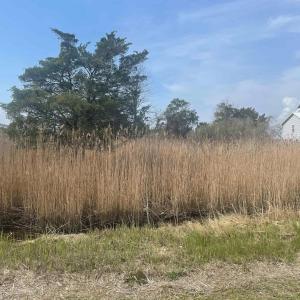 Photo #1 of Bayview Drive, Stumpy Point, NC 0.8 acres