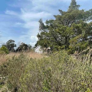 Photo #2 of Bayview Drive, Stumpy Point, NC 0.8 acres