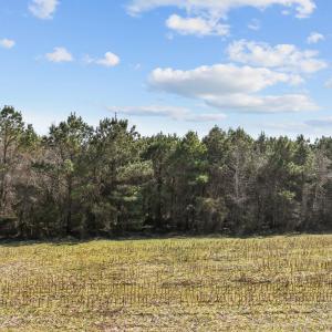 Photo #11 of 160 Shortcut Road, Barco, NC 7.5 acres