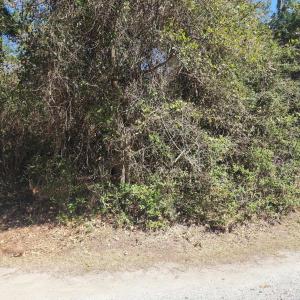 Photo #7 of Holly Ridge Road, Manteo, NC 1.0 acres