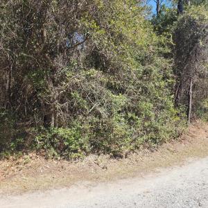 Photo #2 of Holly Ridge Road, Manteo, NC 1.0 acres