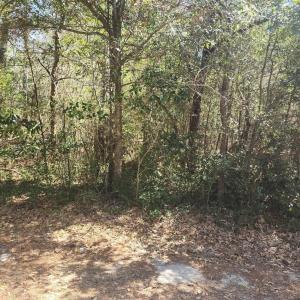 Photo #4 of Holly Ridge Road, Manteo, NC 1.0 acres