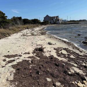 Photo #2 of NC Highway 12, Waves, NC 1.1 acres