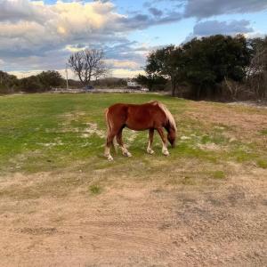 Photo #6 of 2149 Sandpiper Road, Corolla, NC 0.3 acres