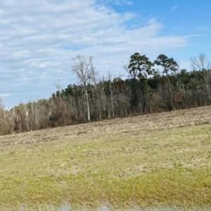 Photo #3 of 140B Sand Hills Road, Camden, NC