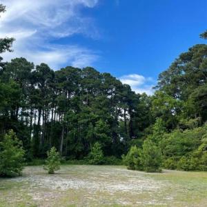 Photo #1 of 217 Cynthia Court, Harbinger, NC 0.9 acres