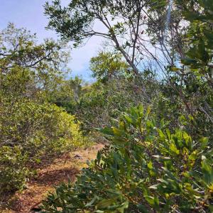 Photo #7 of 41192 Windlass Court, Avon, NC 3.7 acres