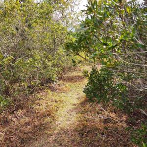 Photo #6 of 41192 Windlass Court, Avon, NC 3.7 acres