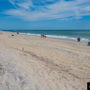 No Crowds Just Coast