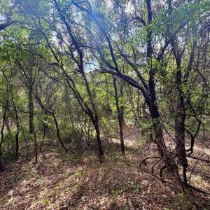 Photo #20 of 102 Sea Hawk Drive, Duck, NC 0.4 acres