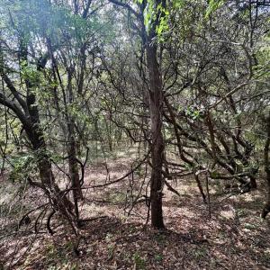 Photo #19 of 102 Sea Hawk Drive, Duck, NC 0.4 acres