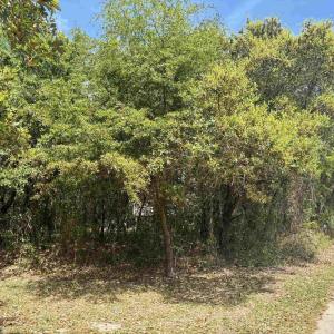 Photo #15 of 102 Sea Hawk Drive, Duck, NC 0.4 acres