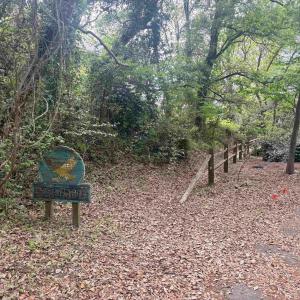 Photo #22 of 102 Sea Hawk Drive, Duck, NC 0.4 acres