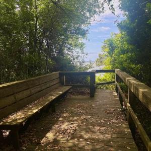 Photo #23 of 102 Sea Hawk Drive, Duck, NC 0.4 acres