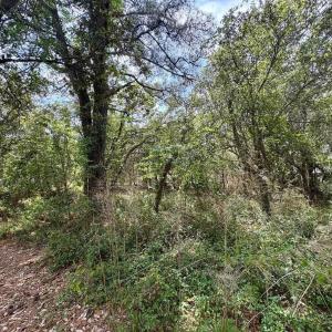 Photo #21 of 102 Sea Hawk Drive, Duck, NC 0.4 acres