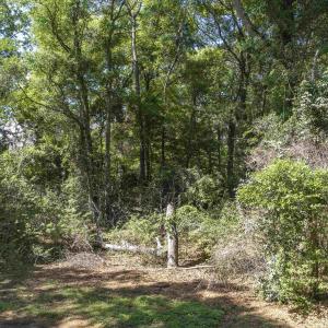 Photo #12 of 153 Bayberry Trail, Southern Shores, NC 0.5 acres