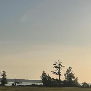 Photo #12 of Royal Tern Way, Hertford, NC 2.0 acres