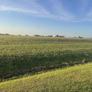 Photo #4 of Royal Tern Way, Hertford, NC 2.0 acres
