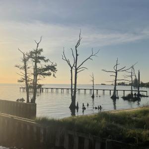 Photo #22 of Royal Tern Way, Hertford, NC 2.0 acres