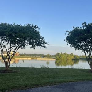 Photo #31 of Royal Tern Way, Hertford, NC 2.0 acres