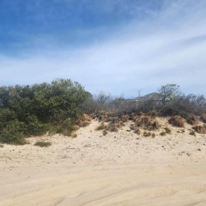 Photo #4 of 1639 Ocean Pearl Road, Corolla, NC
