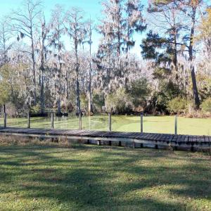 Photo #11 of 4332 Riverneck Road, Columbia, NC