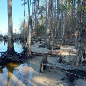 Photo #15 of 4332 Riverneck Road, Columbia, NC