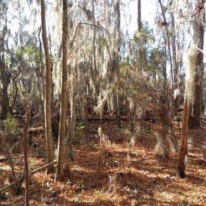 Photo #17 of 4332 Riverneck Road, Columbia, NC