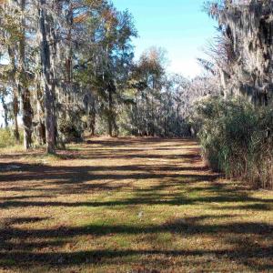 Photo #9 of 4332 Riverneck Road, Columbia, NC