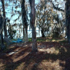 Photo #7 of 4332 Riverneck Road, Columbia, NC