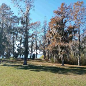 Photo #8 of 4332 Riverneck Road, Columbia, NC