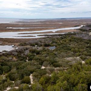 Where the Wild Horses Roam