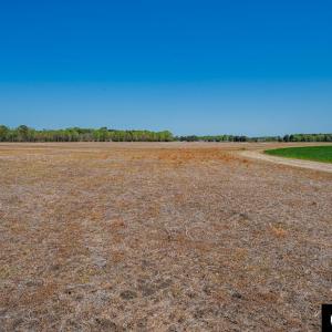 Photo #42 of 7267 Caratoke Highway, Jarvisburg, NC 1.0 acres