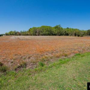 Photo #46 of 7267 Caratoke Highway, Jarvisburg, NC 1.0 acres